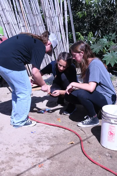 DSC_2042 (Large).JPG